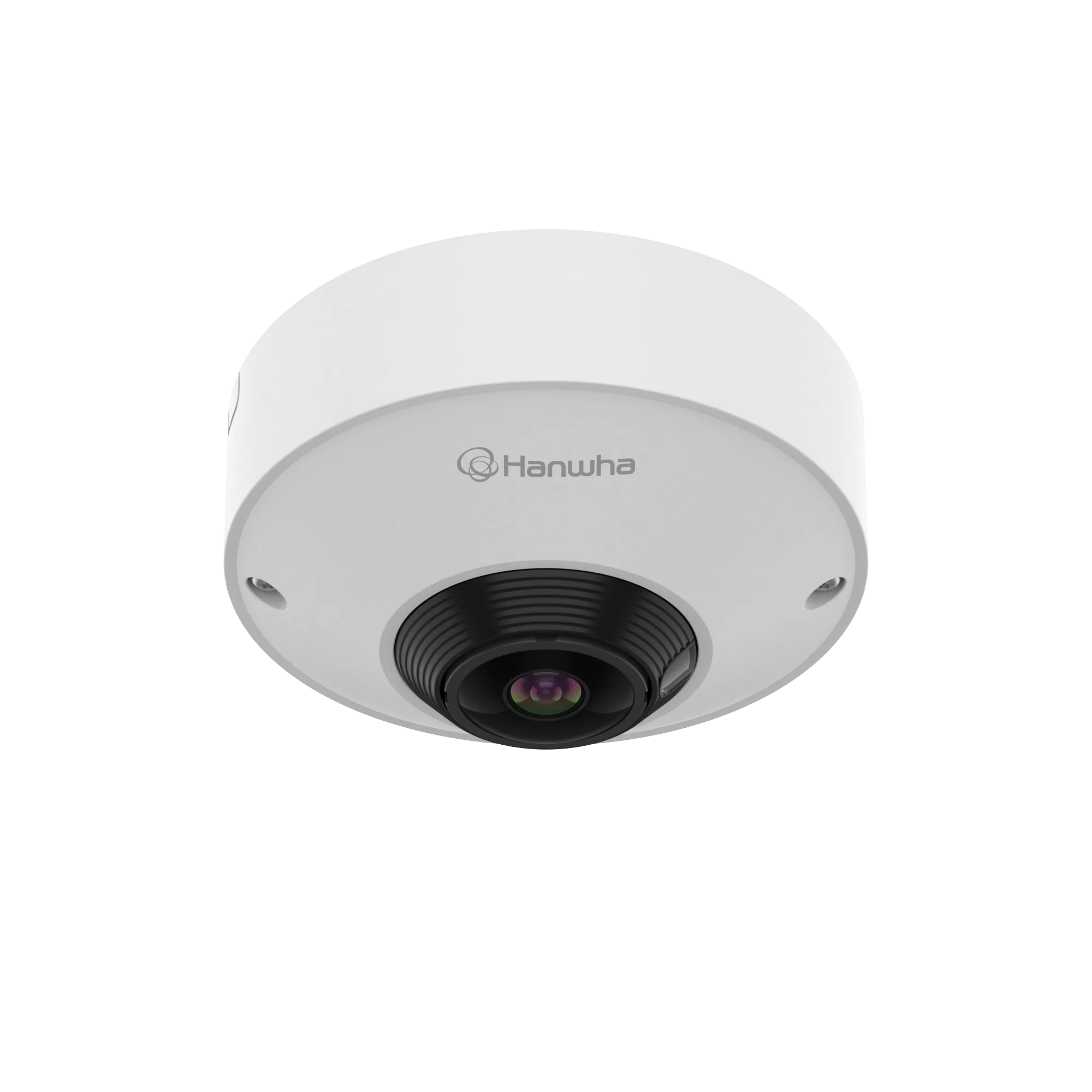 12MP Indoor AI Fisheye