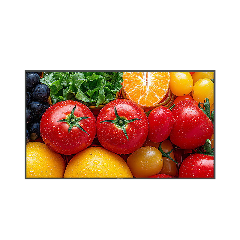 55” 4K Digital Signage Display