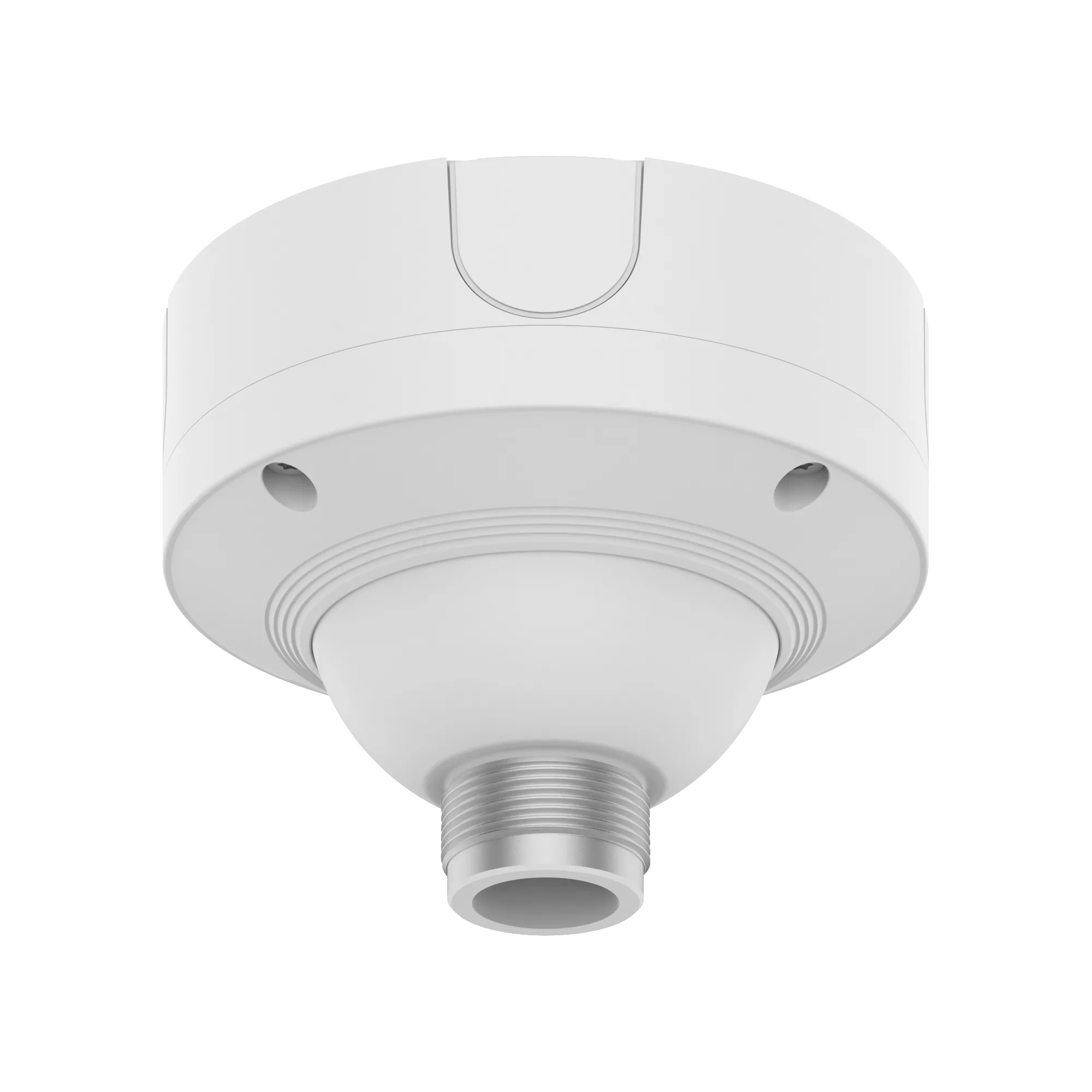 Ball Head Ceiling Mount Base