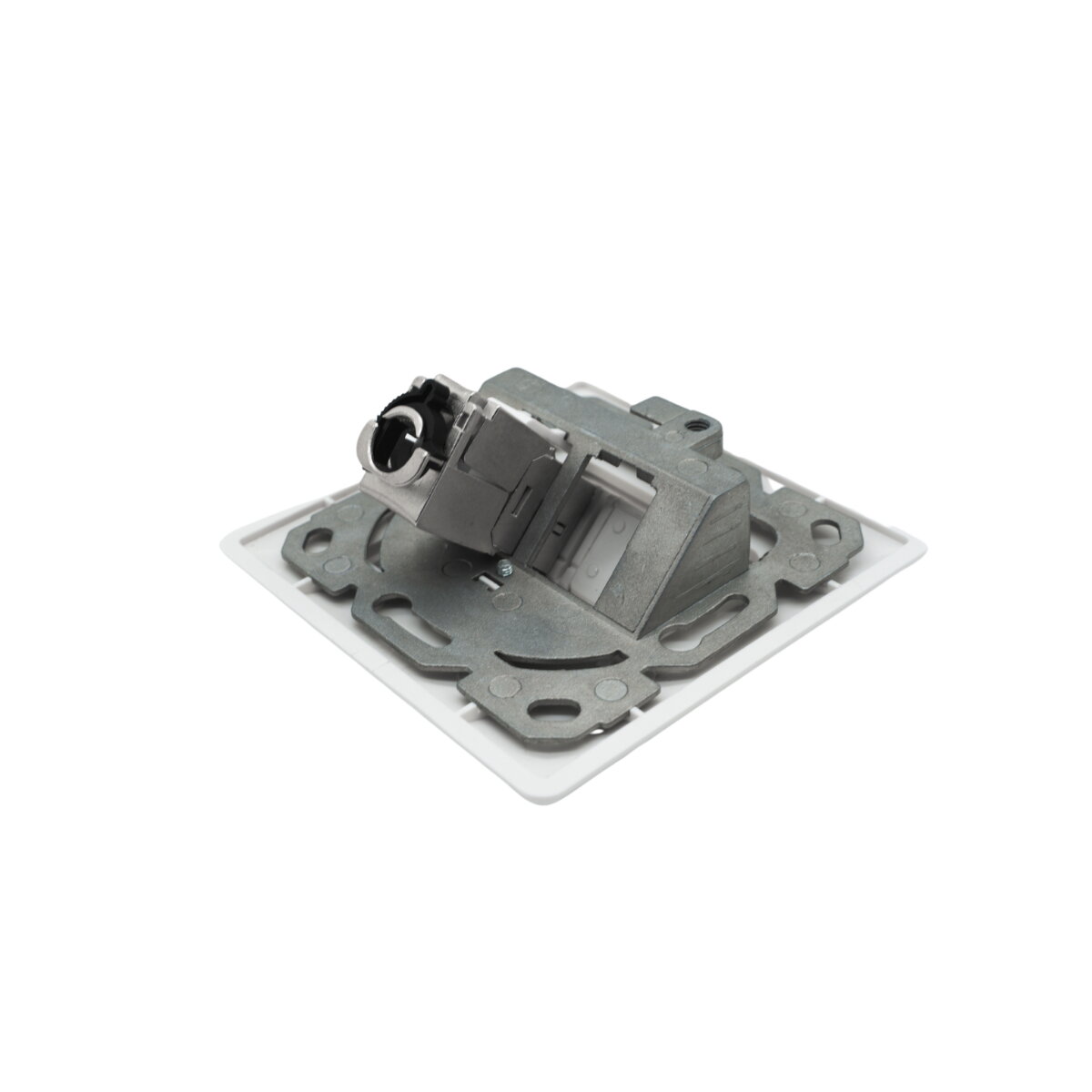 Leermodul Dose 2xRJ45 Schrägauslass – Bild 3