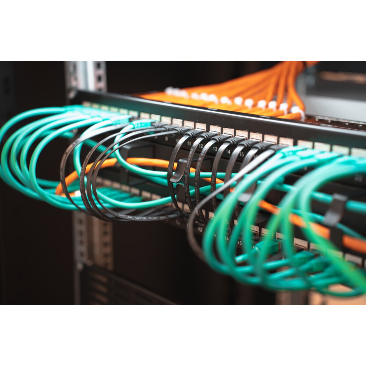 19" Leerpanel für 24 Keystone Jacks, Schwarz – Bild 4