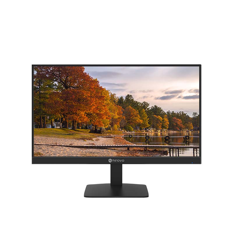 22-Inch Full HD Monitor
