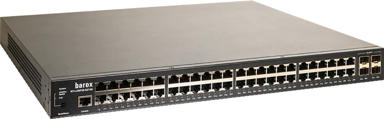 Switch 19"- und Tischm. m. Manag.