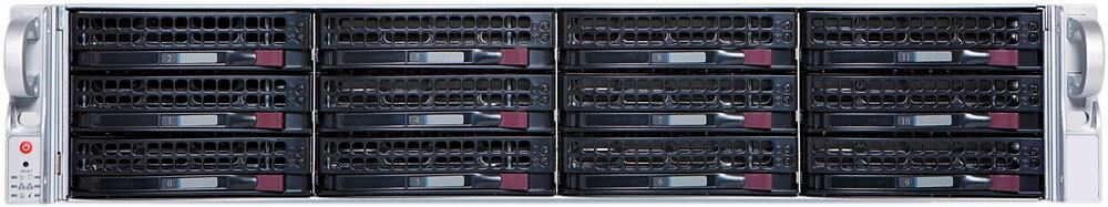 2U 12 Bay Hot-swap Rackmount Server